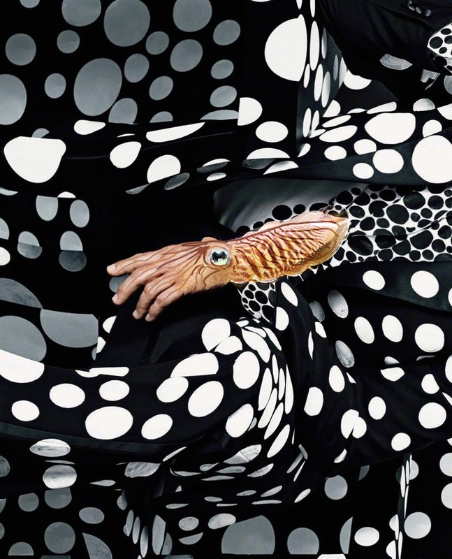 Alex Fischer, George's Cuttlefish, 2014-03-17